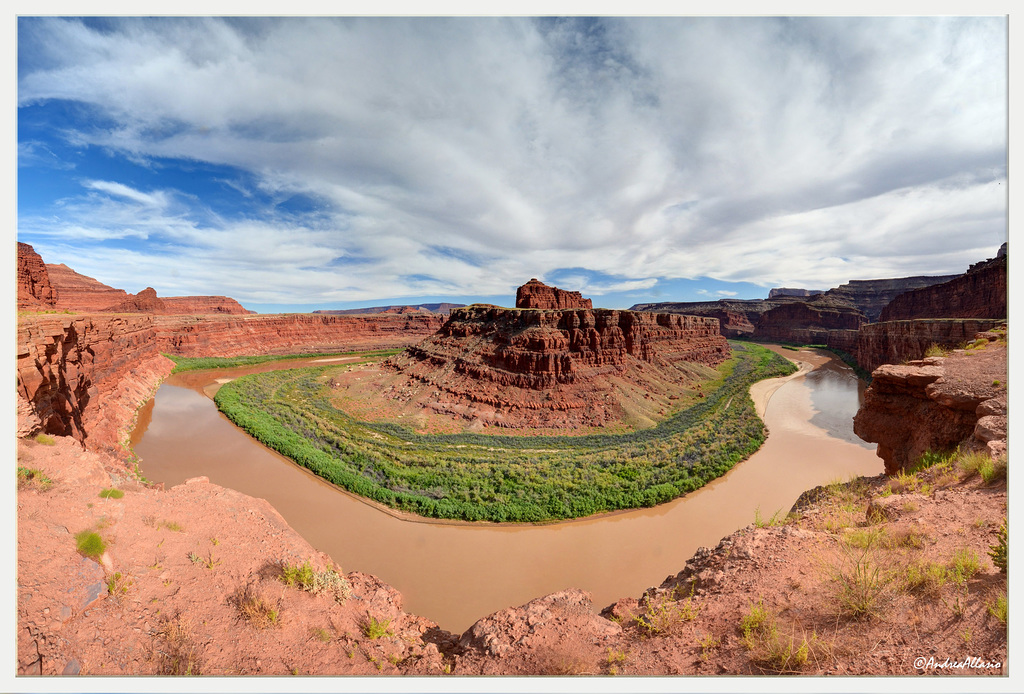 Colorago gooseneck - Potash Road