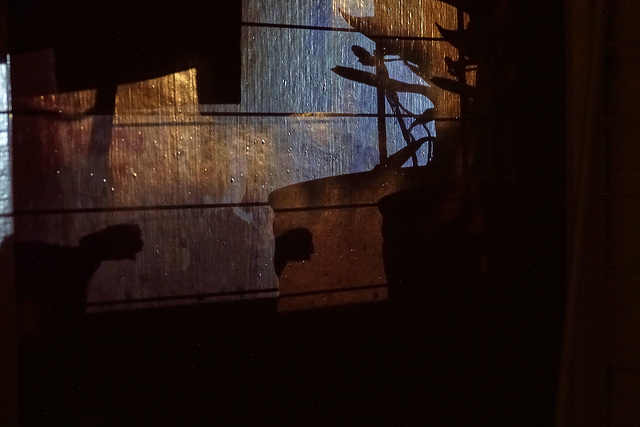 Shadows Shadows