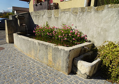 Dorfbrunnen in Orny