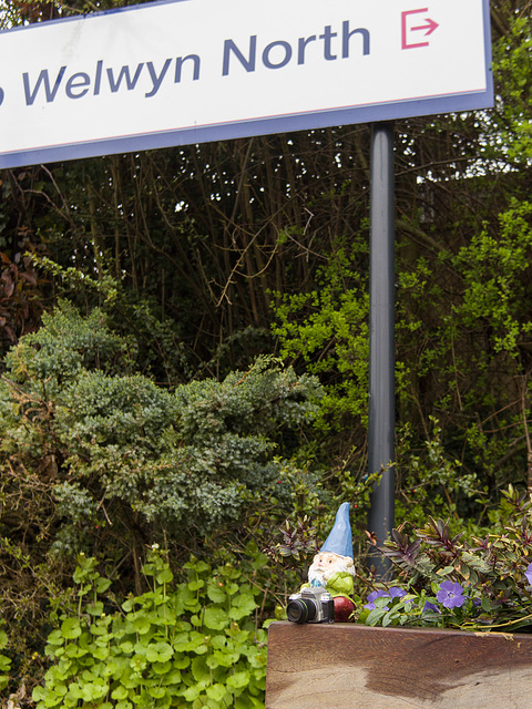 Gnomadeo in Welwyn North