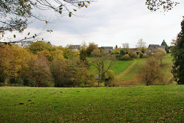 Sprockhövel-Herzkamp / 6.11.2022