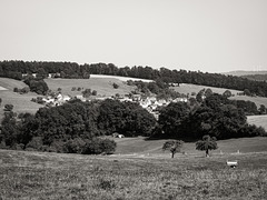 Nordpfalz im Spätsommer