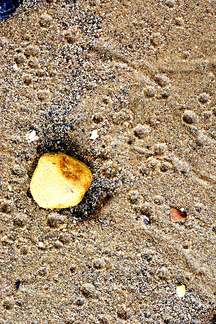 Raindrops in the sand