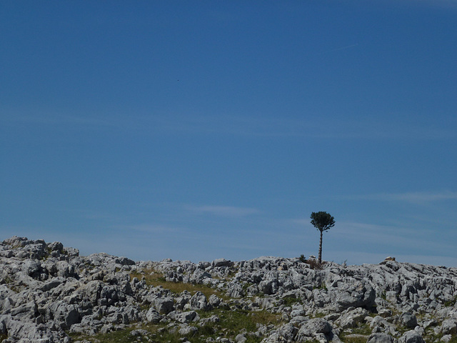 20150828 -30 La chapelle en Vercors Rando-Spéléo (72)