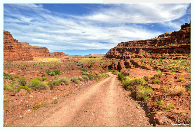 Potash Road to Colorado River