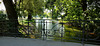 Morning - Englischer Garten