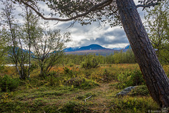 auf dem Njakajaure-Trail (© Buelipix)