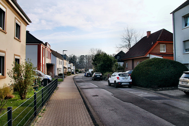 Violainesstraße (Schwerte-Wandhofen) / 9.03.2024