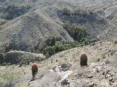 Indian Canyons 18