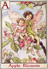 Apple Blossom Fairy - Cicely Mary Barker