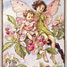 Apple Blossom Fairy - Cicely Mary Barker