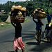 Frauen Tragen die Kokosnüsse zum Markt