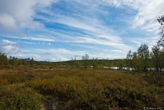 auf dem Njakajaure-Trail (© Buelipix)
