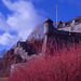 Dumbarton Castle - IRChrome