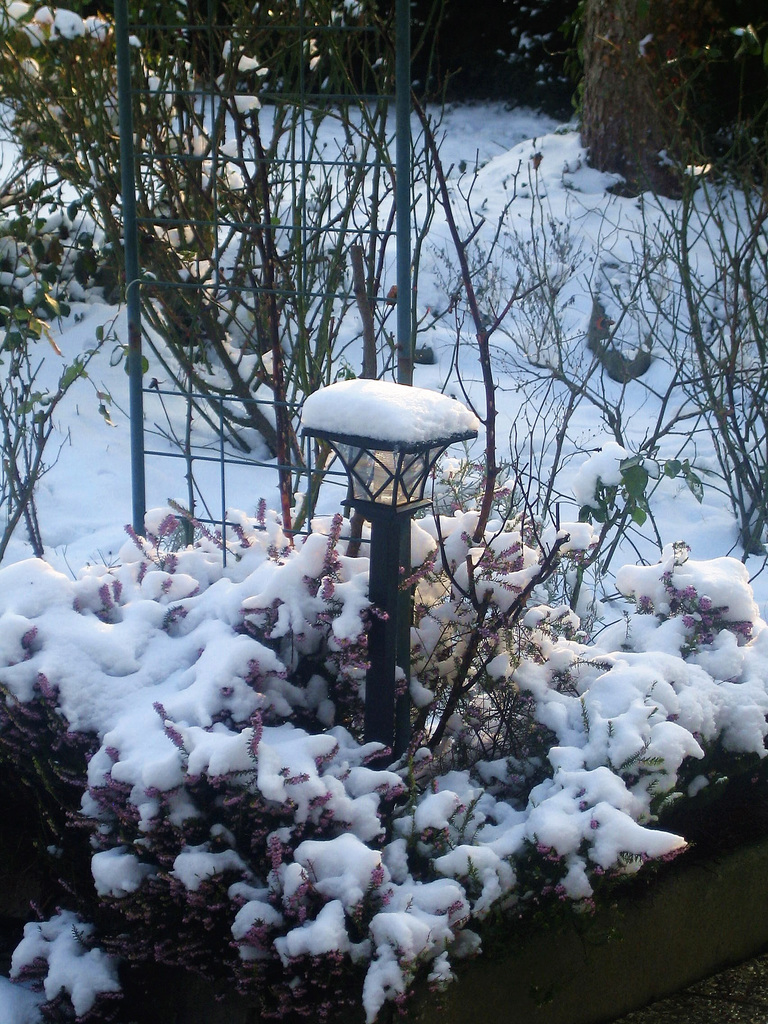 Neige au jardin