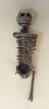 Miniature Skeleton in the Getty Villa, June 2016