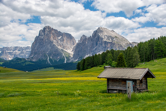 Auf der Seiser Alm, Blick auf Langkofel und Plattkofel