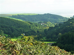 This is North Devon countryside