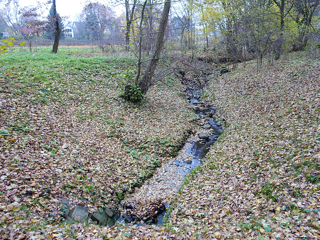 bachlauf-06905