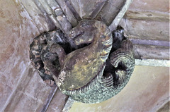 lacock abbey, wilts (138) seahorse, c15 cloister vaulting boss