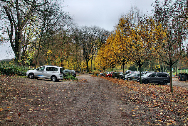 Parkplatz Hohenstein (Witten) / 26.11.2023