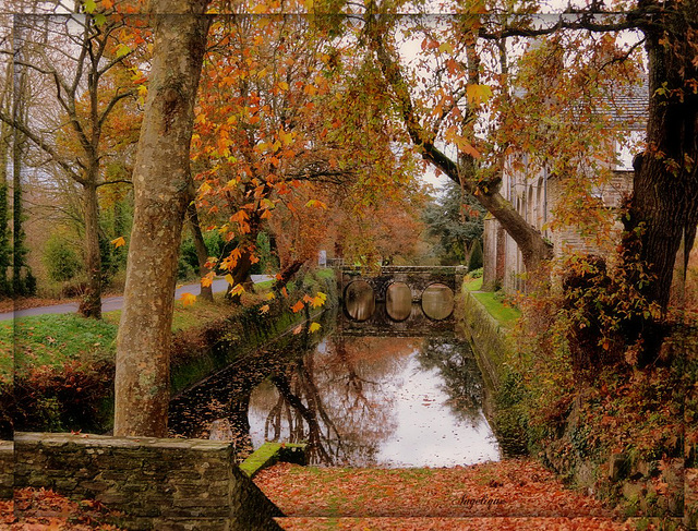 Belle journée à tous !❤️