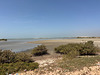 Banc d'Arguin National Park.