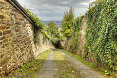 Festung Ehrenbreitstein 13