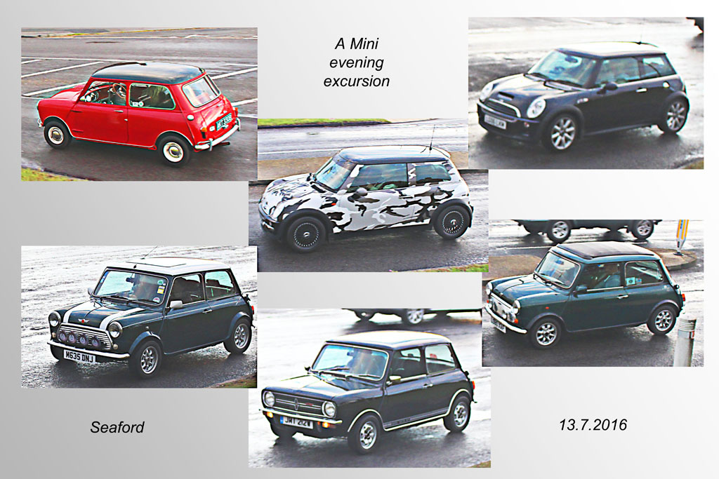 Evening excursion for Minis - Seaford - 13.7.2016