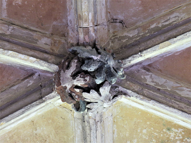 lacock abbey, wilts (139) c15 cloister vaulting boss