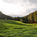 Landschaft an der Grenze Hattingen/Sprockhövel / 6.11.2022