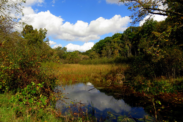 October landscape.