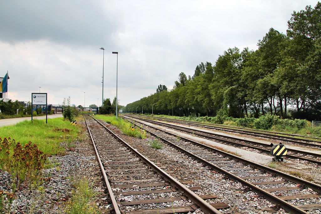 Hafenbahn an der Westfaliastraße (Hafen Dortmund) / 19.08.2023