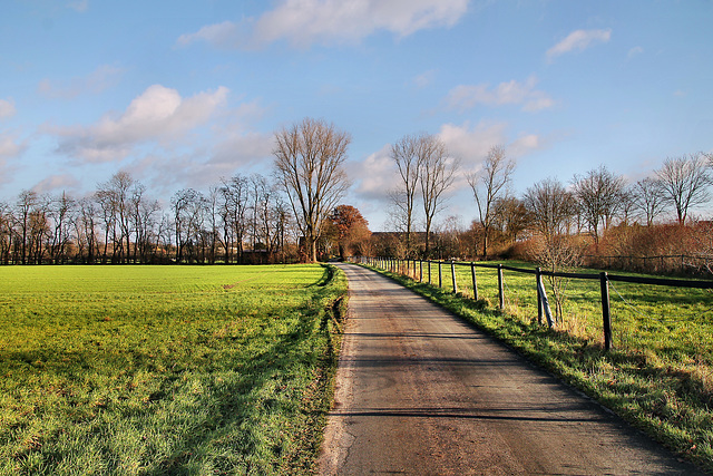 Lippetal (Haltern-Bossendorf) / 26.12.2023