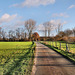 Lippetal (Haltern-Bossendorf) / 26.12.2023