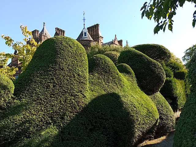 Blobby topiary...