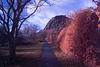 Path to Dumbarton Rock - IRChrome