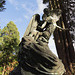 brookwood cemetery, surrey
