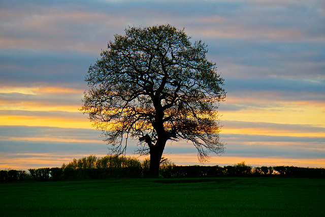 Sunset near Gnosall