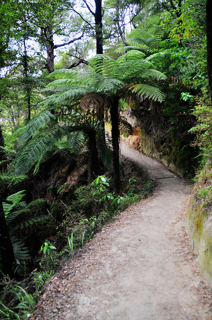 New Zealand New Zealand