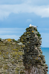 Hallsands - 20190318