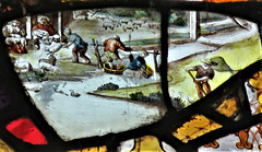 strelley church, notts; c17 flemish glass with washing, shearing sheep and cutting hay with a scythe