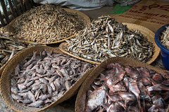 auf dem Nan Pan Market (© Buelipix)