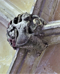 lacock abbey, wilts (140) mermaid, c15 cloister vaulting boss