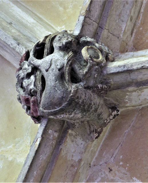 lacock abbey, wilts (140) mermaid, c15 cloister vaulting boss