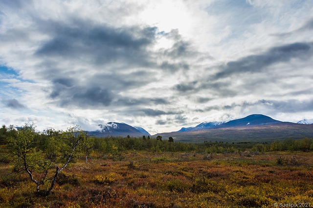 unterwegs auf dem Njakajaure-Trail (© Buelipix)