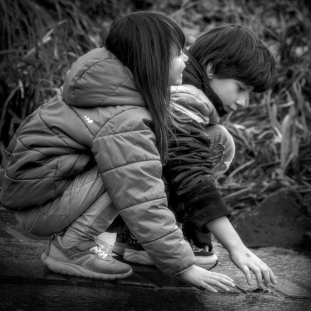 Insouciance bienheureuse, connivence près de l'eau...