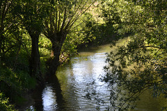 Lovely small river