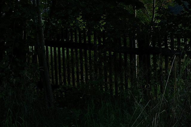 Night Fence