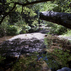 Tranquility Tranquility